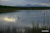 sVan lake