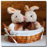Rustic Bunnies *