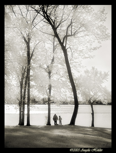 <B>Together in IR</B> <BR><I>Angela Holder</I>