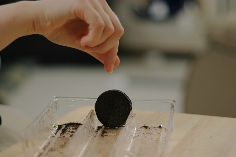 <b>The Oreos Last Stand *</b><br><font size=-2>by Mike G</font>