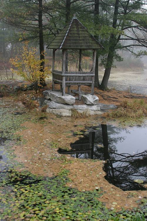 <B>A Place to Be Alone</B><BR>*<FONT size=2>by Ann Chaikin</FONT>