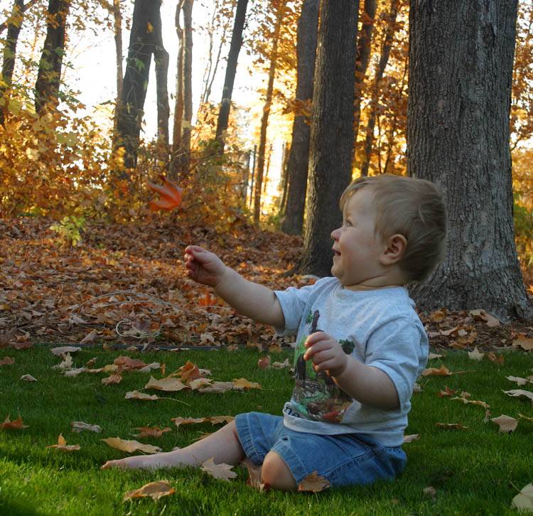 <B>Discovering a Leaf</B><BR>*<FONT size=2>by Jim B (MSP)</FONT>