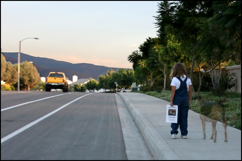 <B>Alone? No.  Always Together !<BR>(PG)</B><BR>*<FONT size=2>by Earl Waud</FONT>
