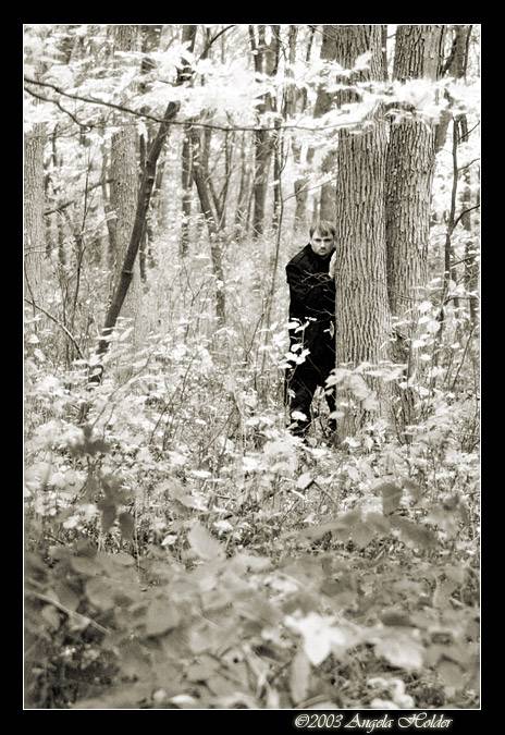 <B> The Watcher in the Woods</B><BR> <I>by Angela Holder</I>