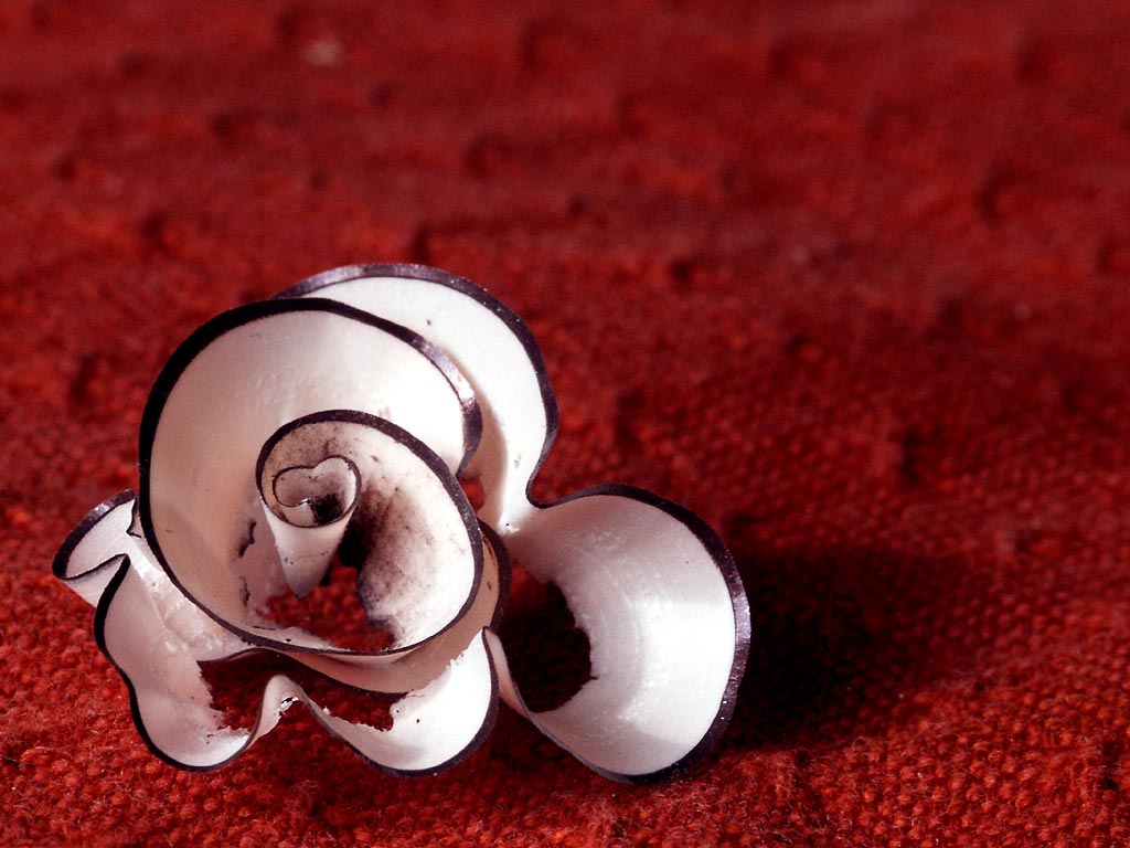 <B>Paper Thin *</b><br><font size= 1>by Bernard Maltais</font>