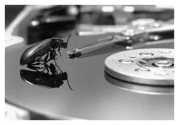 4th Place<br><b>A Bugs Life</b><br>by iso3200*