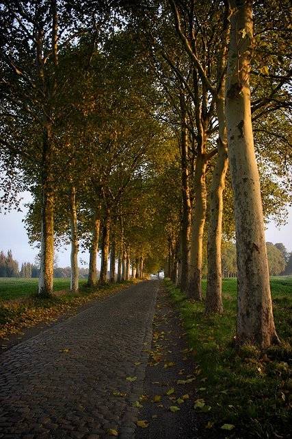 <b>The Road To Perdition</b><br><font size=-1>by Frederic Poncelet</font>