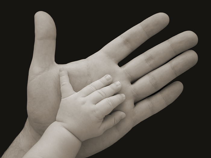 Hands<br> 5th Place