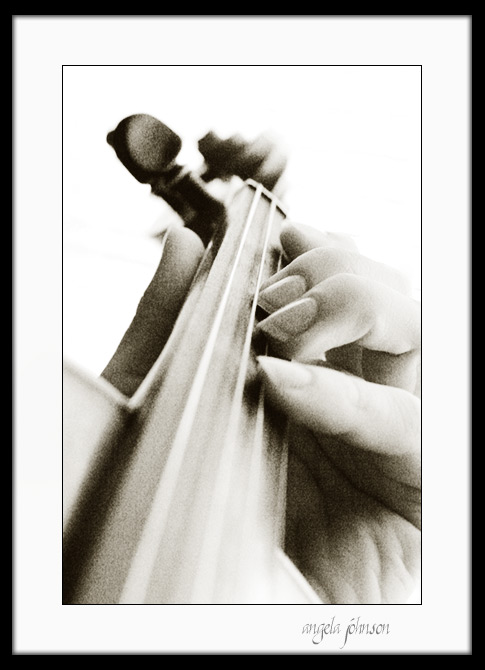 <b>Violinist</b><br> 3rd Place<br> <i>AJ</i>