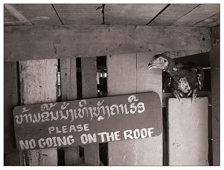 Roof guard*