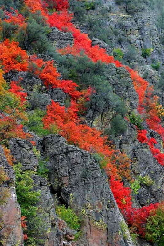 Bleeding Mountain  *
