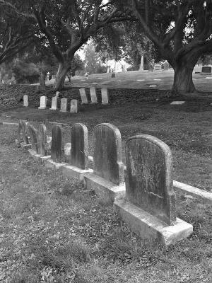 Under the Oaks(*)