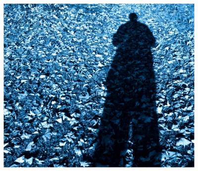 Lost, cold and alone but for a sea of leaves (*)