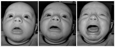 Mixed Emotions ( * )