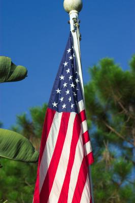 our flag