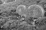 Almost Forgotten(*)