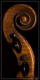 <b>The Scroll</b> *