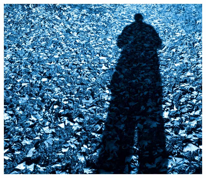 Lost, cold and alone but for a sea of leaves (*)