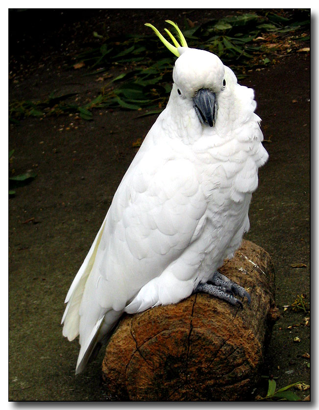 Whos a pretty boy? (*)