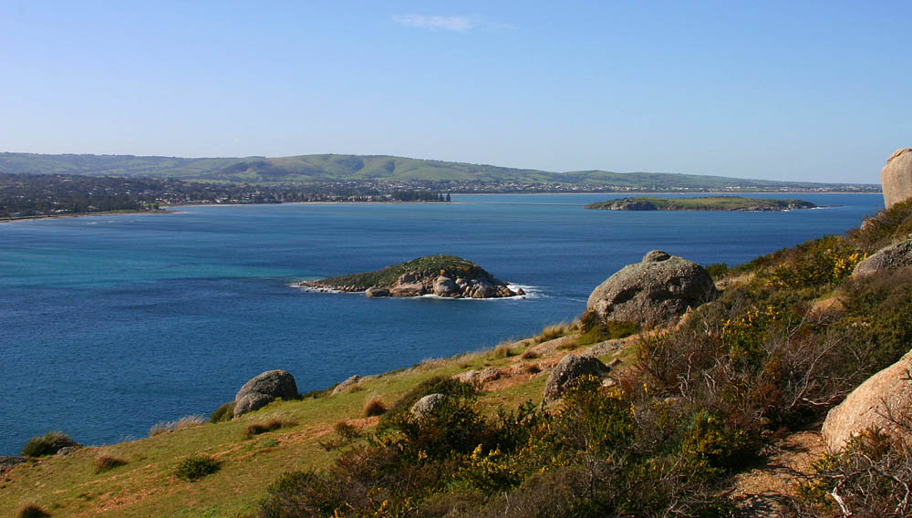 Looking East  *