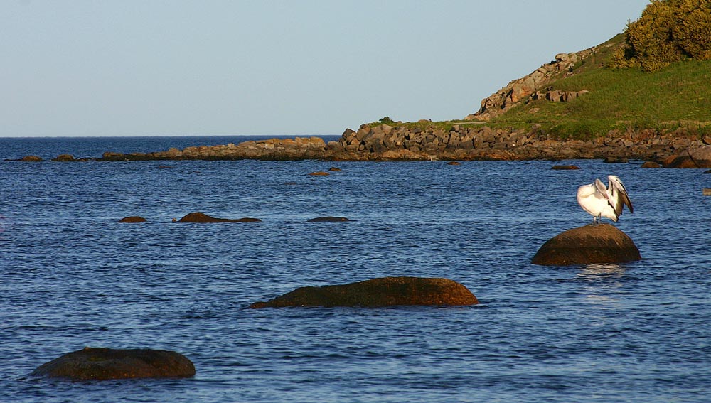 Big Stepping Stones  *