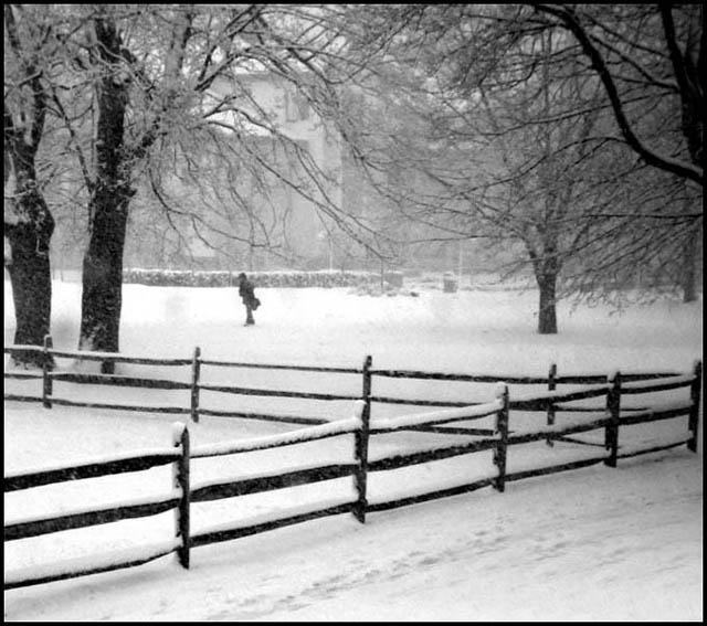 Winter on Campus