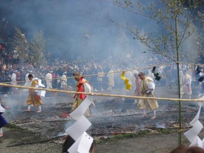 IMG_8807.jpg