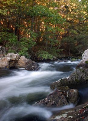 Connecticut DSC_1191 W