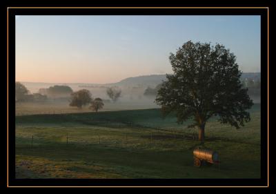 Fog in the valley