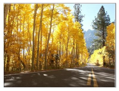 Along the June Lake Loop