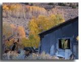 Ruins and Aspens at the Chemung Mine
