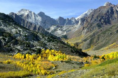 Eastern Sierra's Foliage  16, 17 and 18th of Oct 03