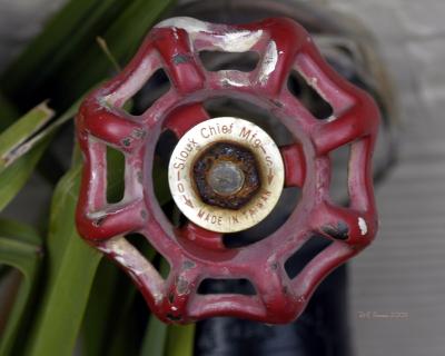 red_knob.jpg