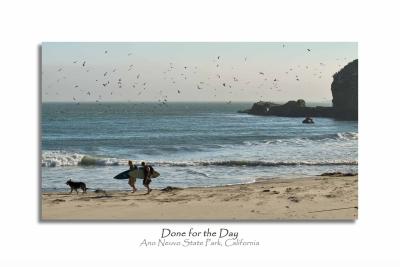 The surfers were done but the Gulls and Pelicans were working overtime.