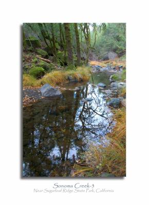 Sonoma Creek-3