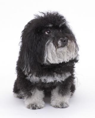 CRW-RickyPortrait2.jpg