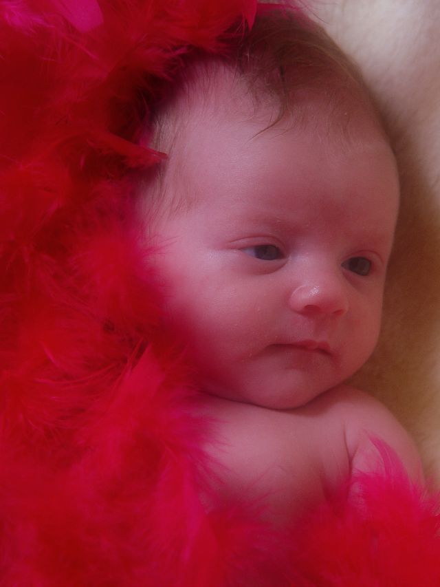 Dreamy Kaylee