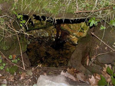 Spring basin built into side of the hill by original owners