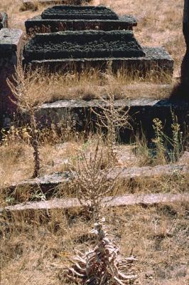 Ahlat gravestones 22