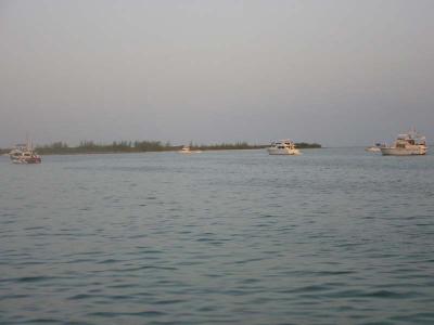 IMG_1782.jpg