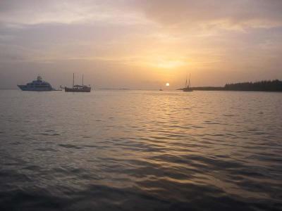 IMG_1785.jpg