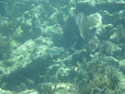 IMG_1844.jpg