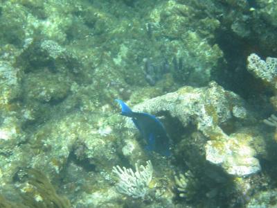 IMG_1852.jpg