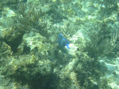IMG_1853.jpg