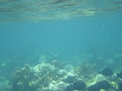 IMG_1864.jpg