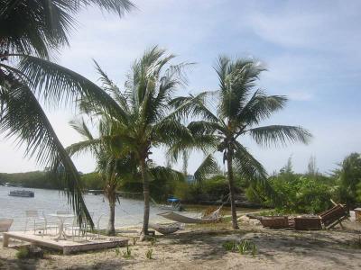 IMG_1883.jpg