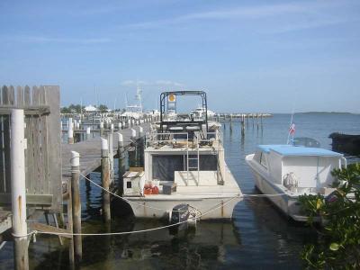 IMG_1885.jpg