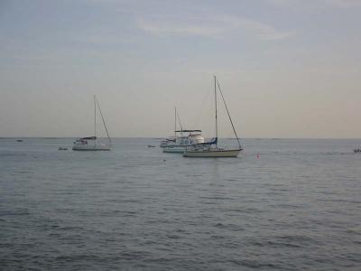 IMG_1907.jpg