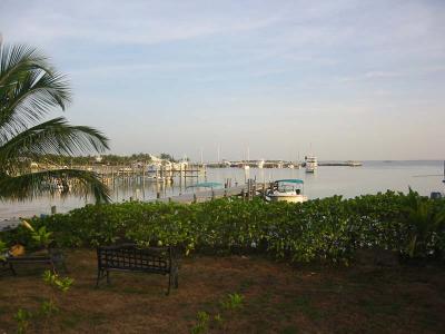 IMG_1915.jpg
