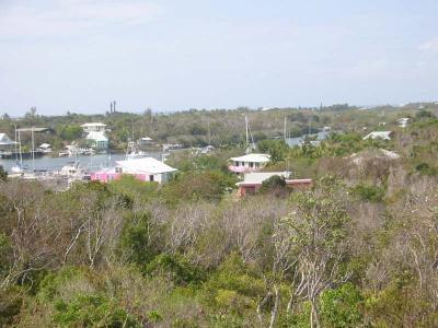 IMG_2004.jpg